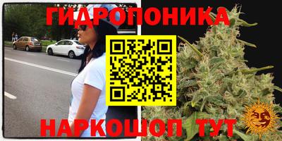 мдпв Рыбинск