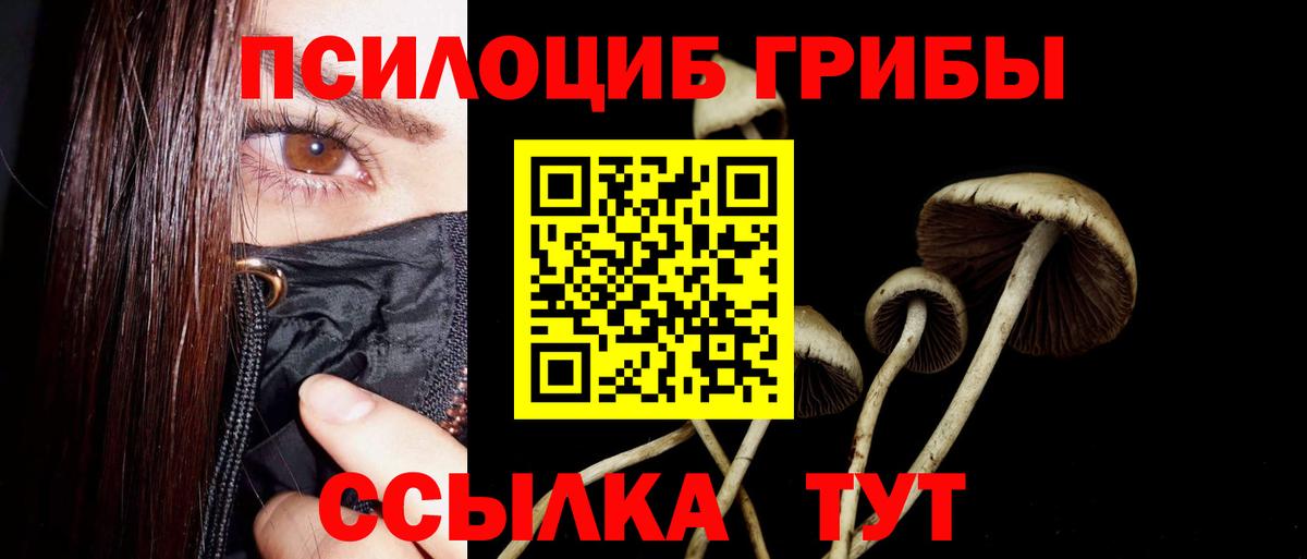 Галлюциногенные грибы Psilocybine cubensis  Вход с VPN  Нарткала 